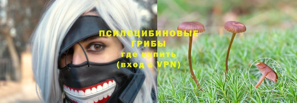 дживик Гусиноозёрск