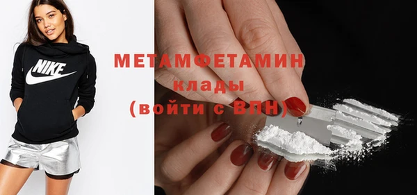 шишки Горно-Алтайск