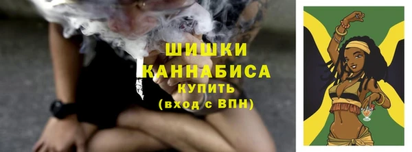 шишки Горно-Алтайск