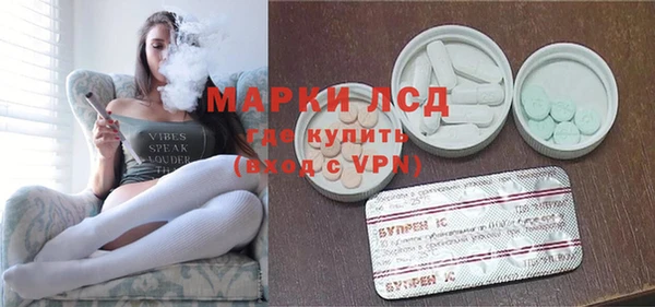 шишки Горно-Алтайск
