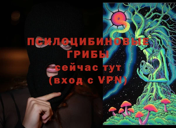 экстази Гусев