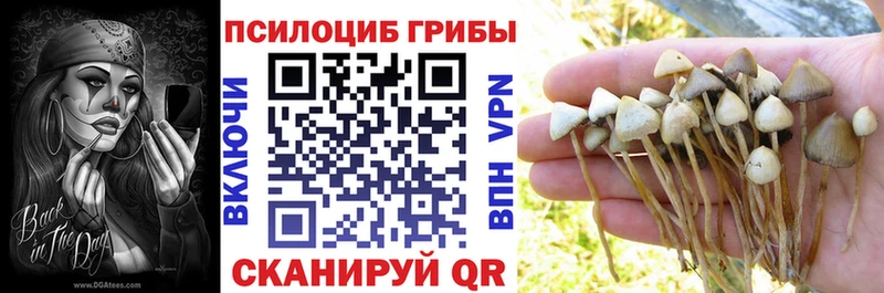 Псилоцибиновые грибы мухоморы  Николаевск-на-Амуре 
